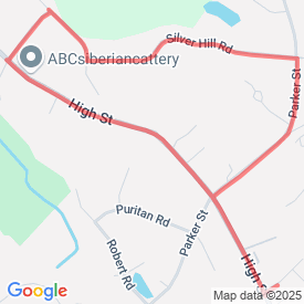 Beginnner - 3.27 Km route in 5 Dunham Lane, Acton, MA