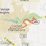 Plantation Run route map
