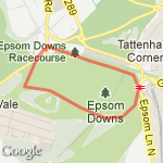 Epsom Gallop route map